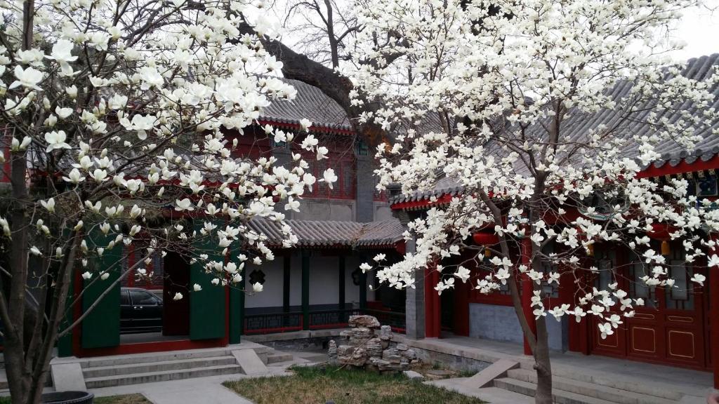 Scholar Tree Courtyard Hotel Peking  Buitenkant foto